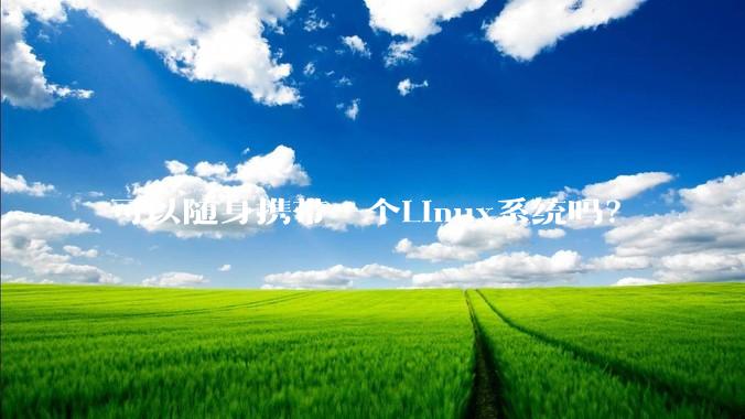 可以随身携带一个Linux系统吗?