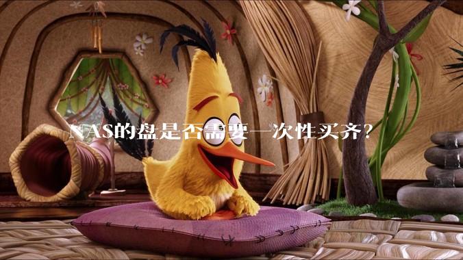 NAS的盘是否需要一次性买齐?