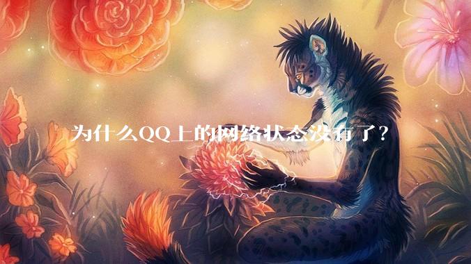 为什么QQ上的网络状态没有了?