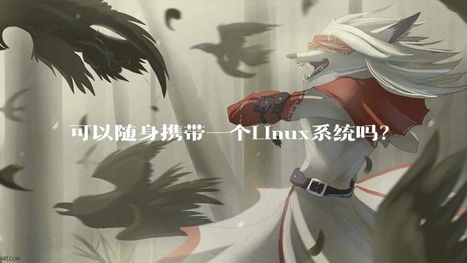 可以随身携带一个Linux系统吗?