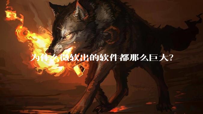 为什么微软出的软件都那么巨大?