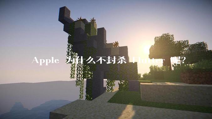 Apple 为什么不封杀 Flutter 呢?