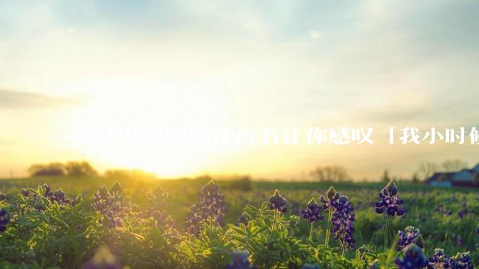 哪些电视剧现在再看让你感叹「我小时候吃这么好」?