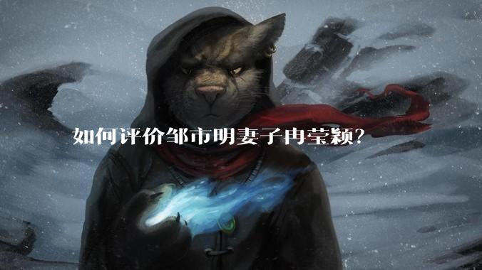 如何评价邹市明妻子冉莹颖?