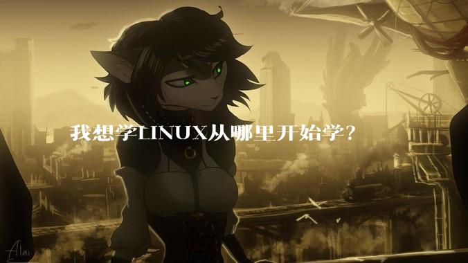 我想学LINUX从哪里开始学?