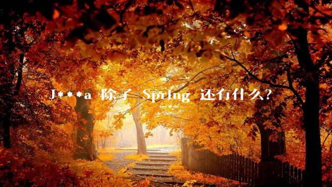J***a 除了 Spring 还有什么?