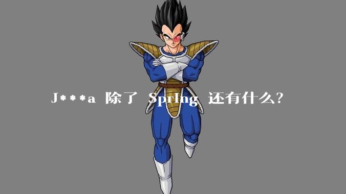J***a 除了 Spring 还有什么?