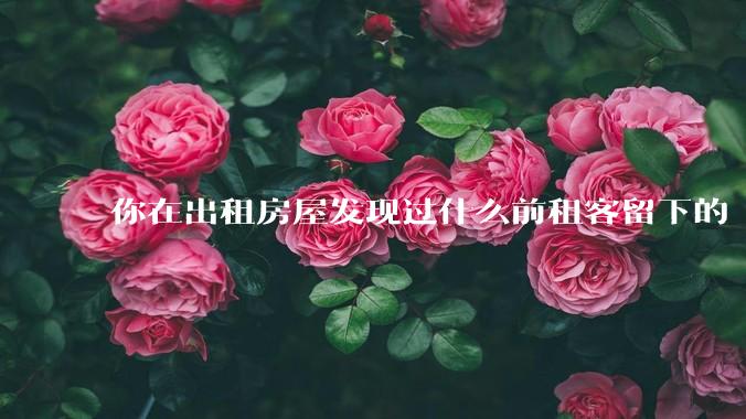 你在出租房屋发现过什么前租客留下的“宝藏”?