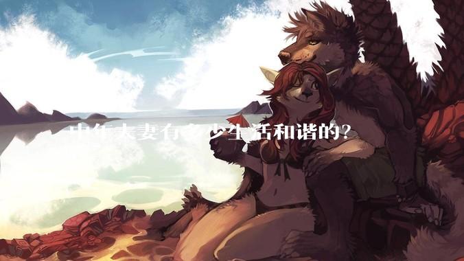中年夫妻有多少生活和谐的?
